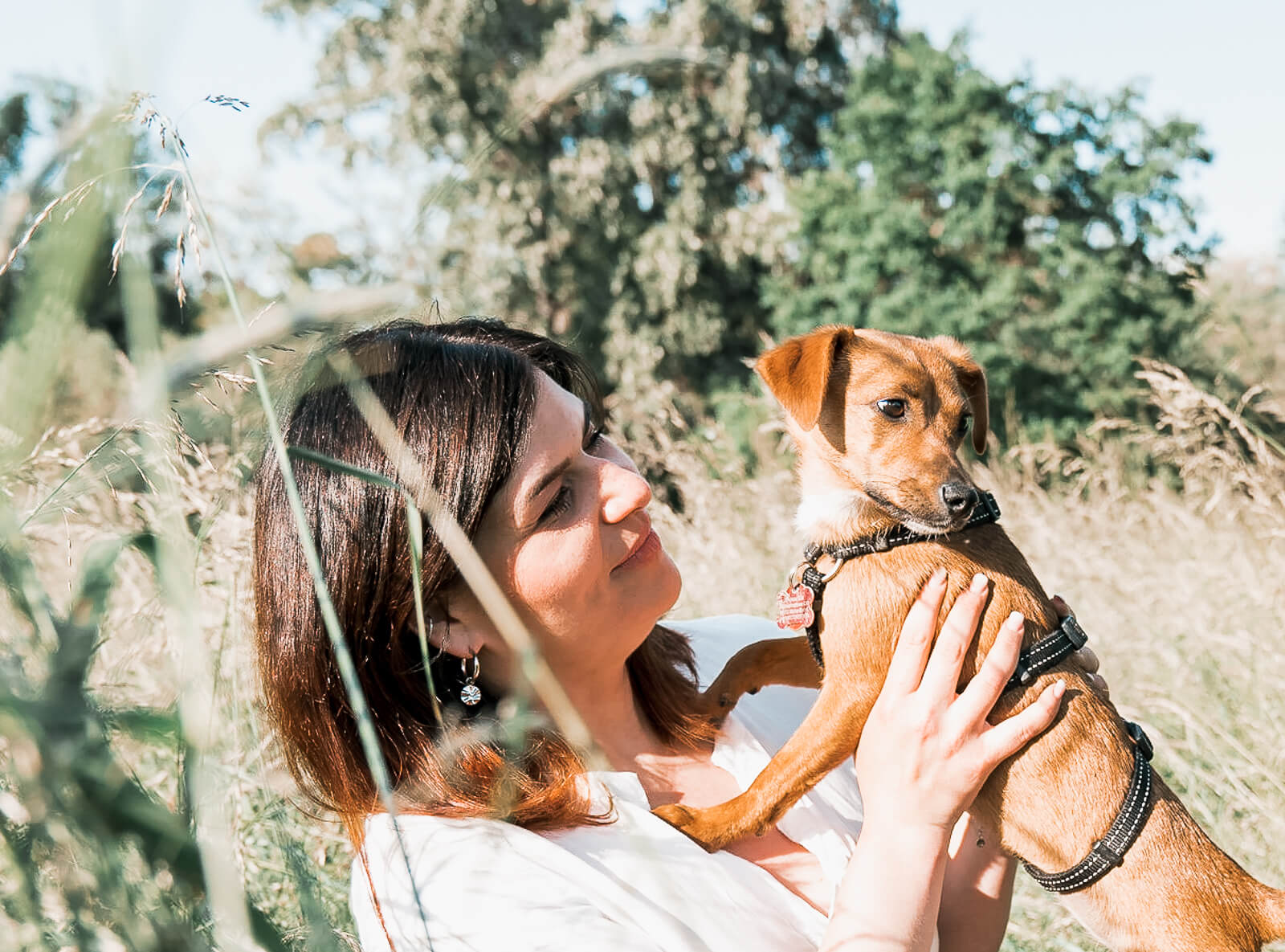 hunde_mesnch_fotoshooting_porträt_mainz_sommer
